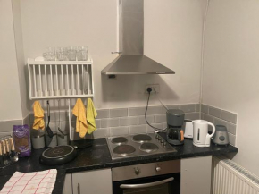 Beautiful one bed apartment in Cardiff good links